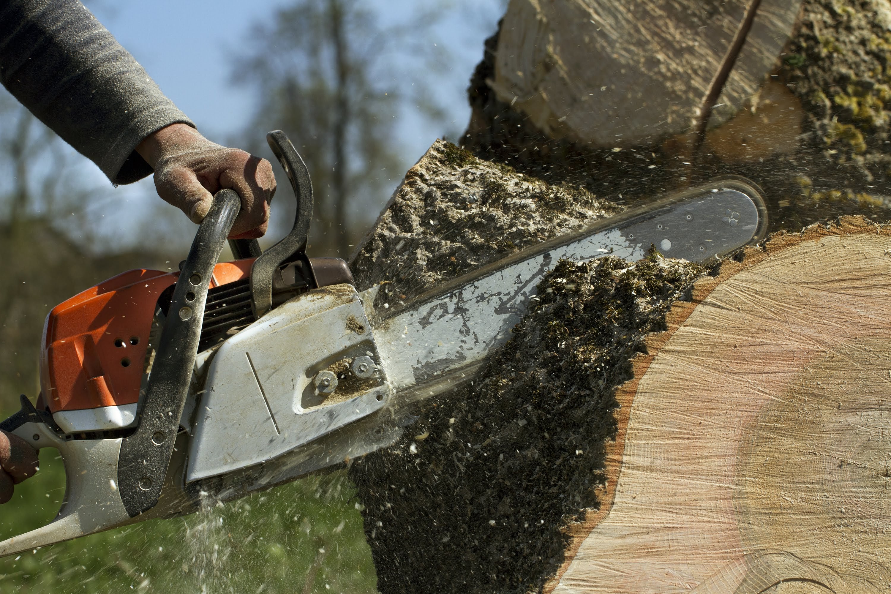 Armstrong Land Services Inc.: Service Image-1 Armstrong Land Services Inc.: Service Image-1
