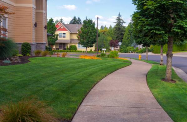 Armstrong Land Services Inc.: Service Image-5