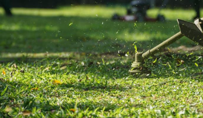 Armstrong Land Services Inc.: Service Image-6 Armstrong Land Services Inc.: Service Image-6