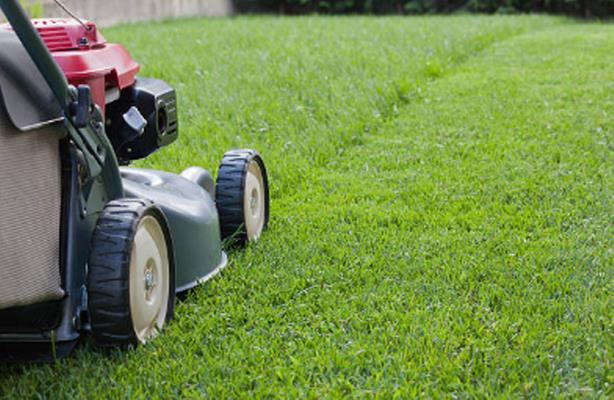 Armstrong Land Services Inc.: Service Image-7 Armstrong Land Services Inc.: Service Image-7