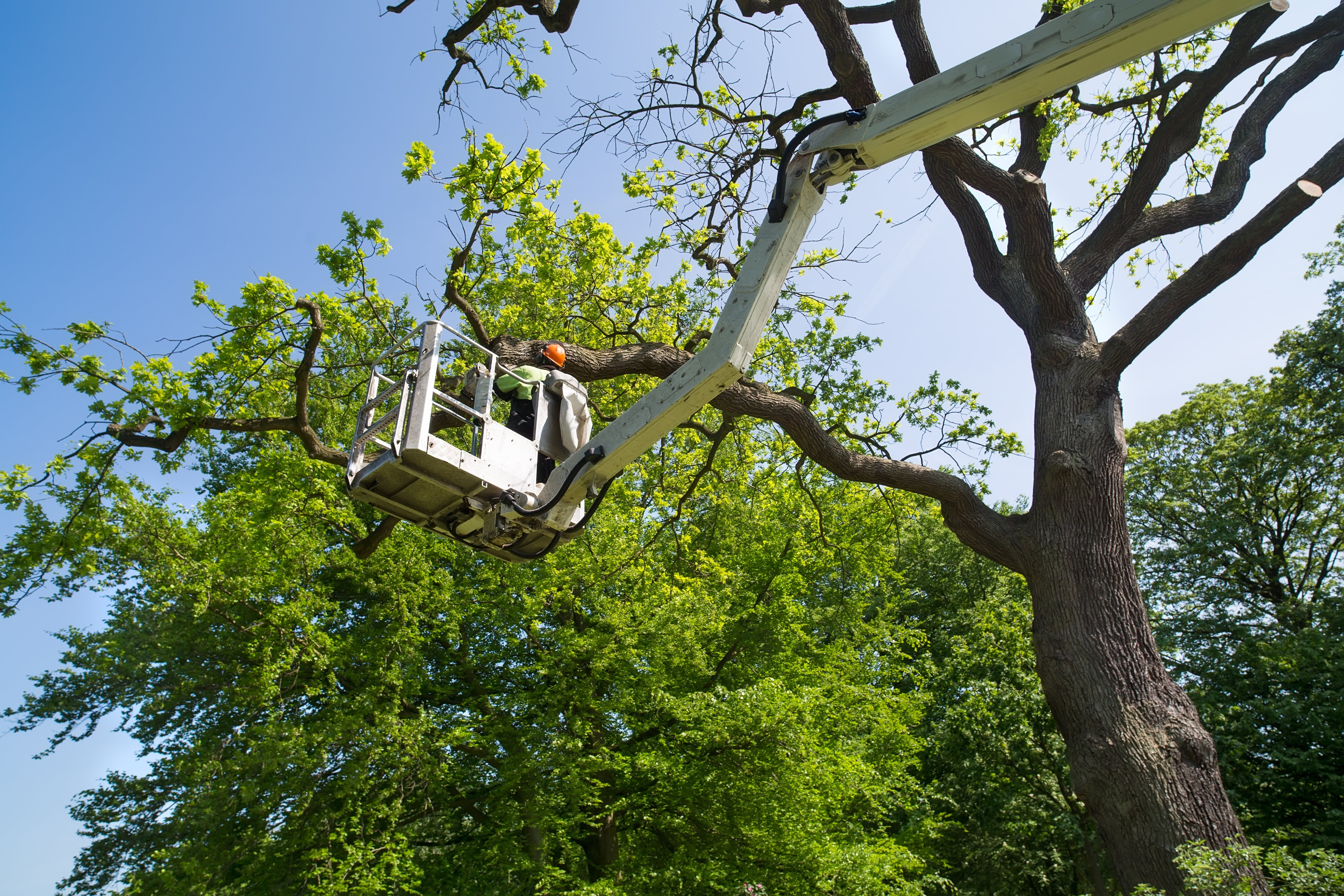 Armstrong Land Services Inc.: Service Image-0 Armstrong Land Services Inc.: Service Image-0